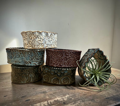 Sat. 4/25 Air Plant Holders 10-noon